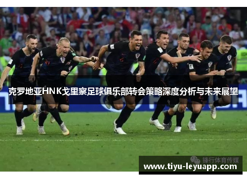 克罗地亚HNK戈里察足球俱乐部转会策略深度分析与未来展望