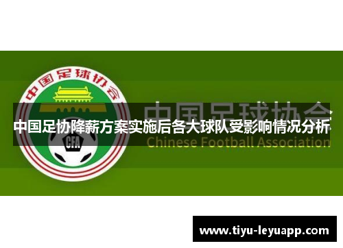 中国足协降薪方案实施后各大球队受影响情况分析