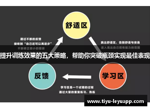 提升训练效果的五大策略，帮助你突破瓶颈实现最佳表现