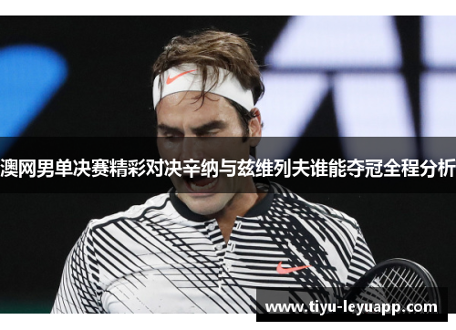 澳网男单决赛精彩对决辛纳与兹维列夫谁能夺冠全程分析