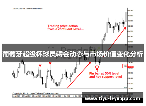 葡萄牙超级杯球员转会动态与市场价值变化分析
