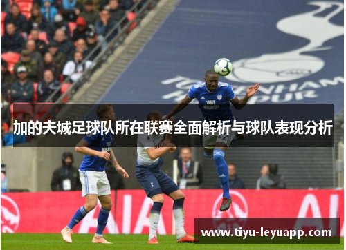 加的夫城足球队所在联赛全面解析与球队表现分析
